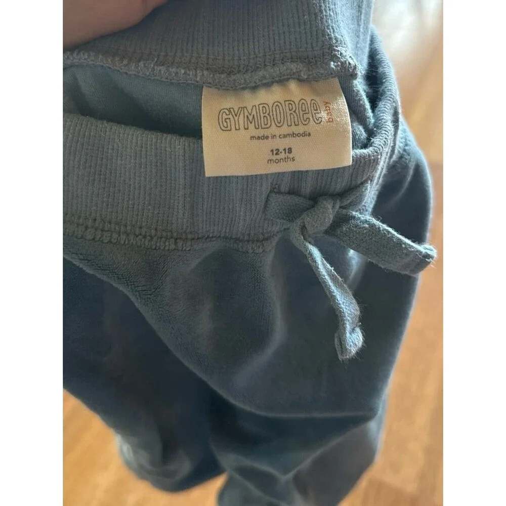 GYMBOREE Baby blue Velour Tracksuit Set